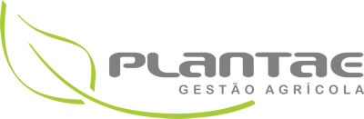 Plantae